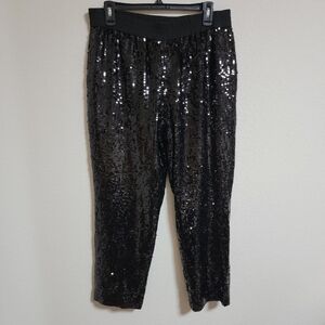 J Crew Black Lined Sequin Pants